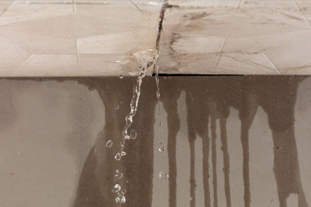 Professional Flood Damage Cleanup technician working in Piermont, NH
